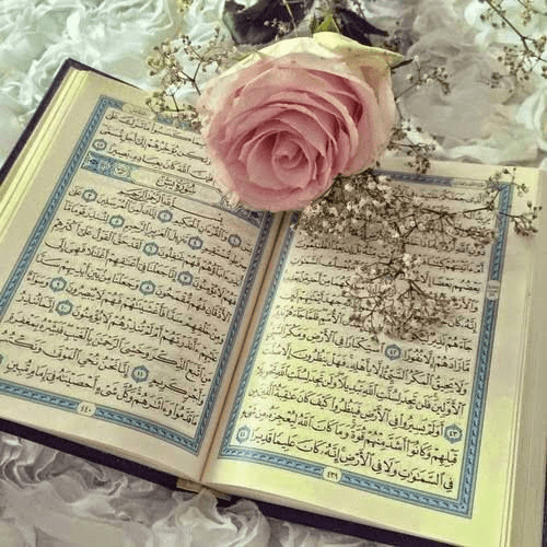 An open Quran with a pink rose and baby's breath resting on its pages